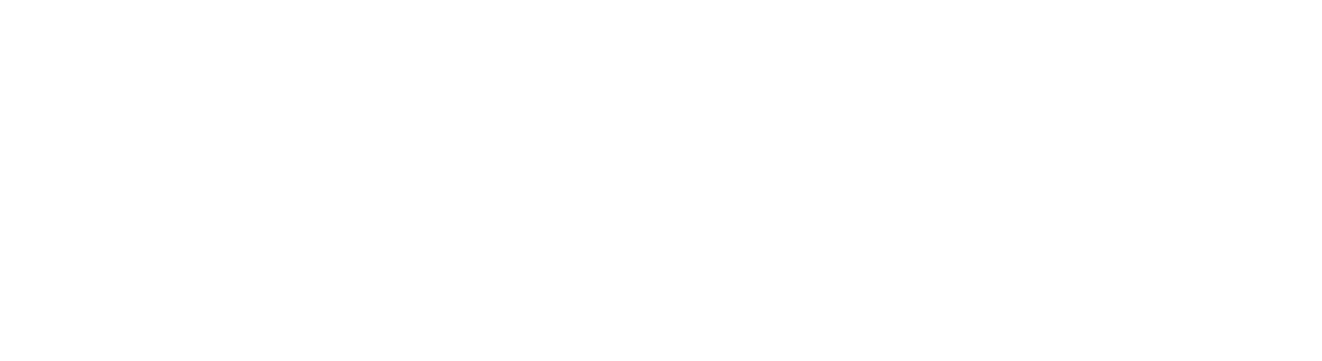 Womens Law Project Logo